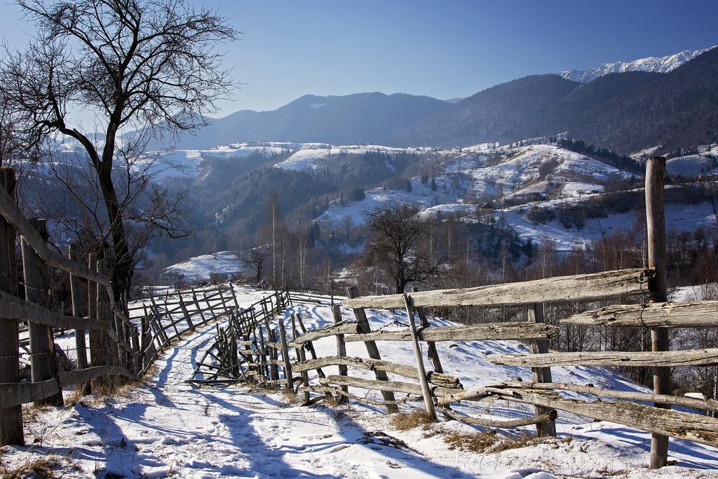 Samedru Hotel Măgura Екстериор снимка