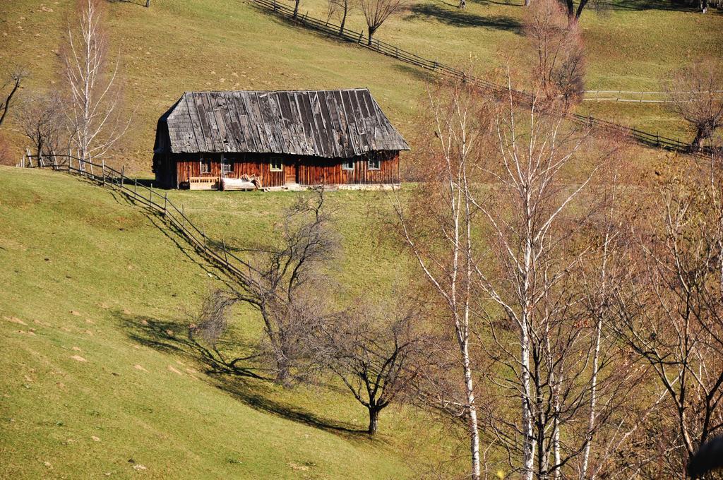 Samedru Hotel Măgura Екстериор снимка