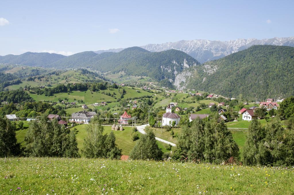 Samedru Hotel Măgura Екстериор снимка