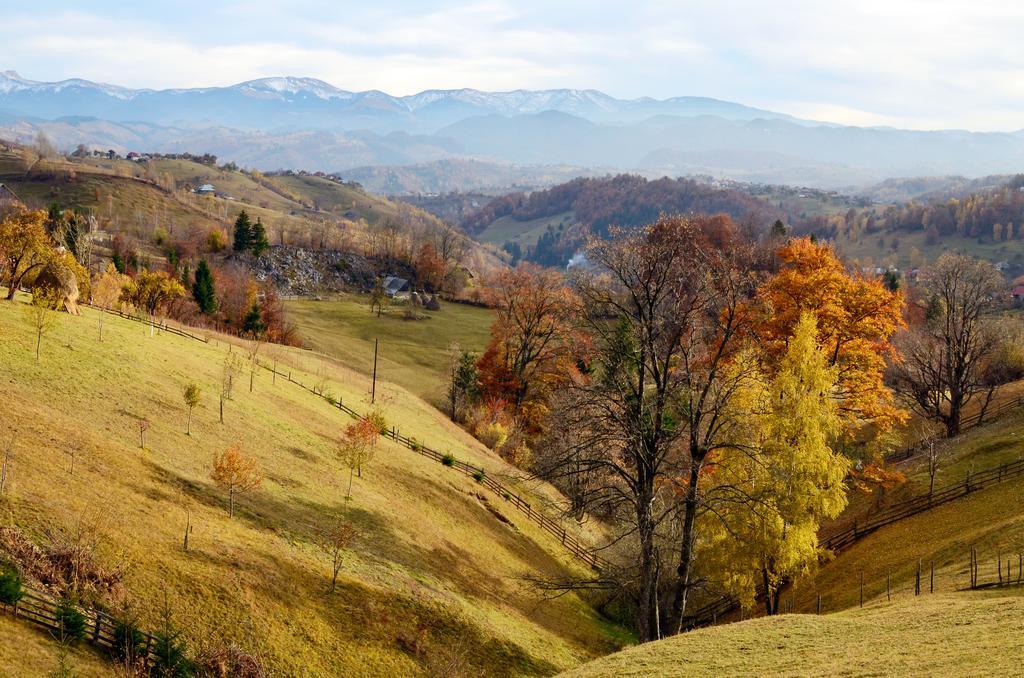 Samedru Hotel Măgura Екстериор снимка