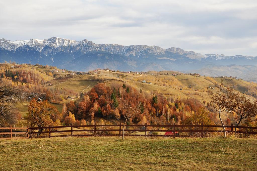 Samedru Hotel Măgura Екстериор снимка