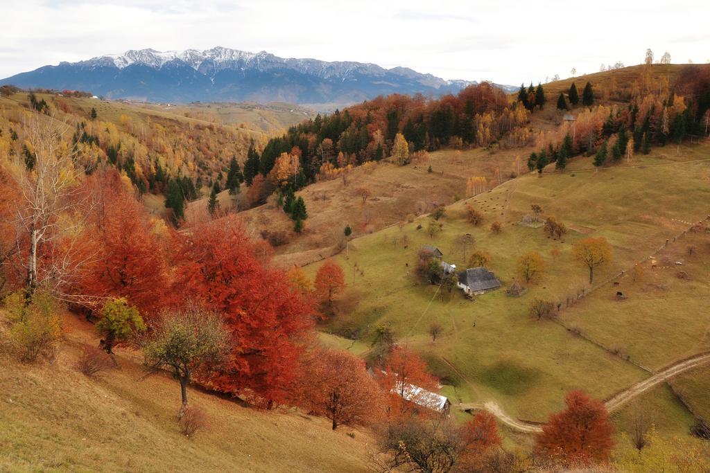 Samedru Hotel Măgura Екстериор снимка