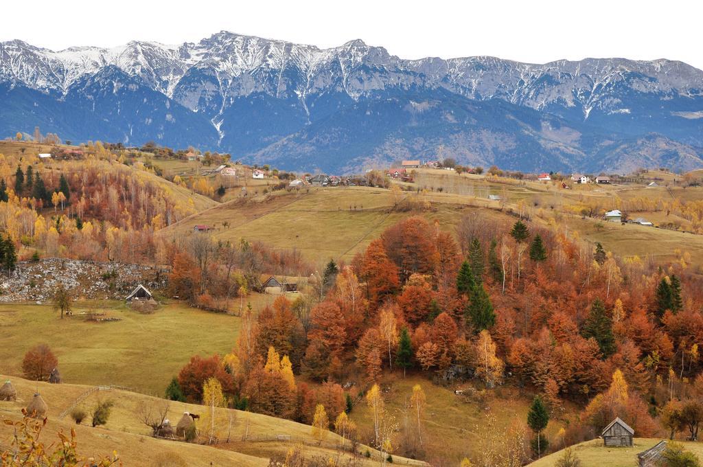 Samedru Hotel Măgura Екстериор снимка